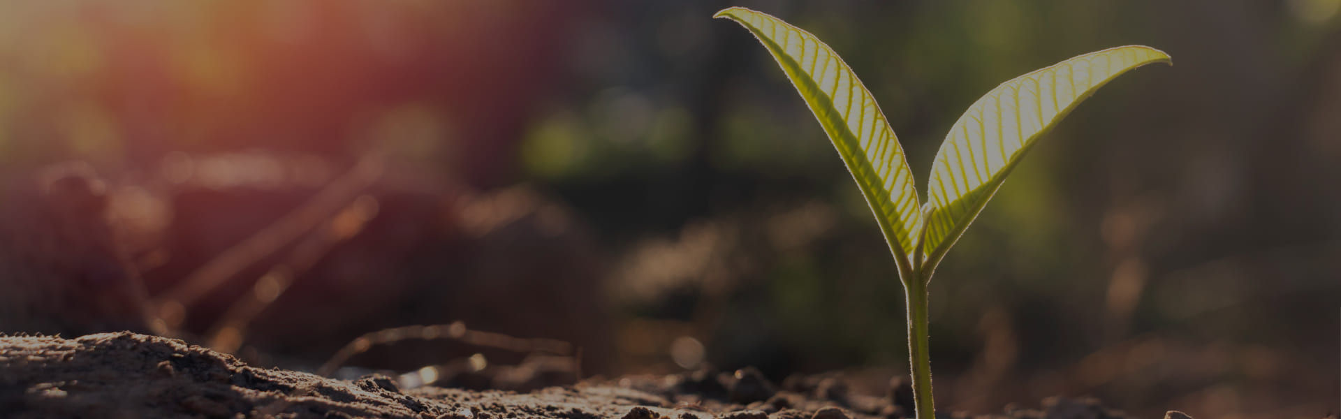 株式会社C&Hの代表挨拶